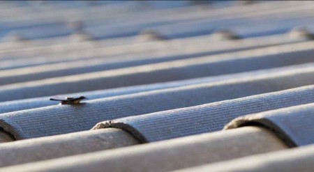 49e6c92010764348f7aac47a5db853a3_M 1