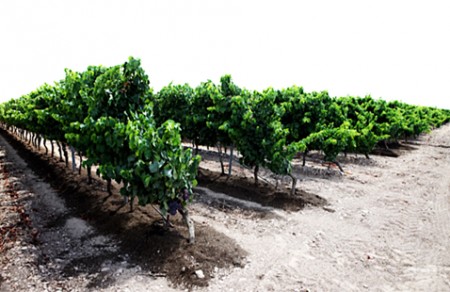 a6922ff8cfad5d7f36649c0f9c77253b_M